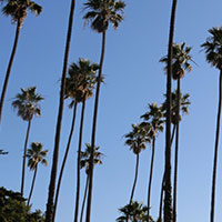 Sunset Boulevard